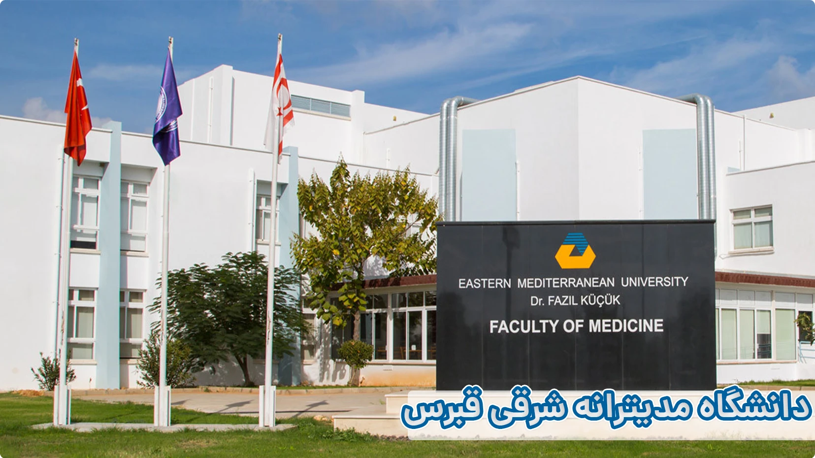 دانشگاه مدیترانه شرقی