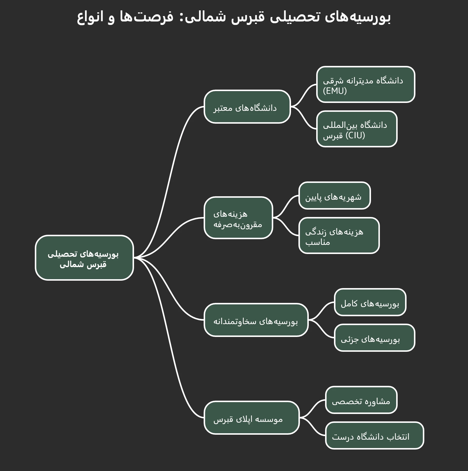دریافت بورسیه تحصیلی قبرس شمالی